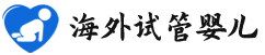 {聊城代生双胞胎}